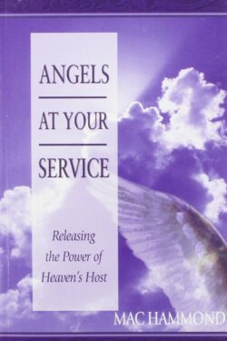 9781573991926 Angels At Your Service