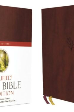 9780310109433 Amplified Holy Bible XL Edition