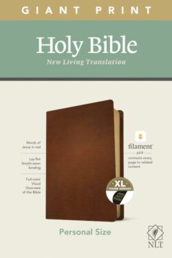 9781496445315 Personal Size Giant Print Bible Filament Enabled Edition