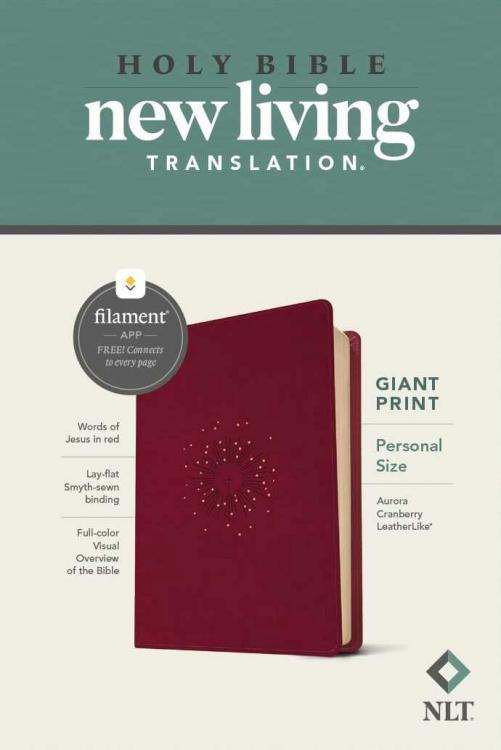 9781496460899 Personal Size Giant Print Bible Filament Enabled Edition