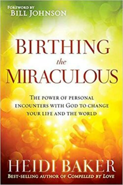 9781621362197 Birthing The Miraculous