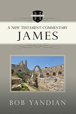 9781680310818 James : A New Testament Commentary