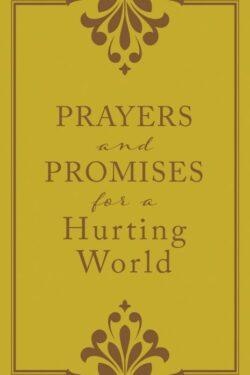 9781683227748 Prayers And Promises For A Hurting World