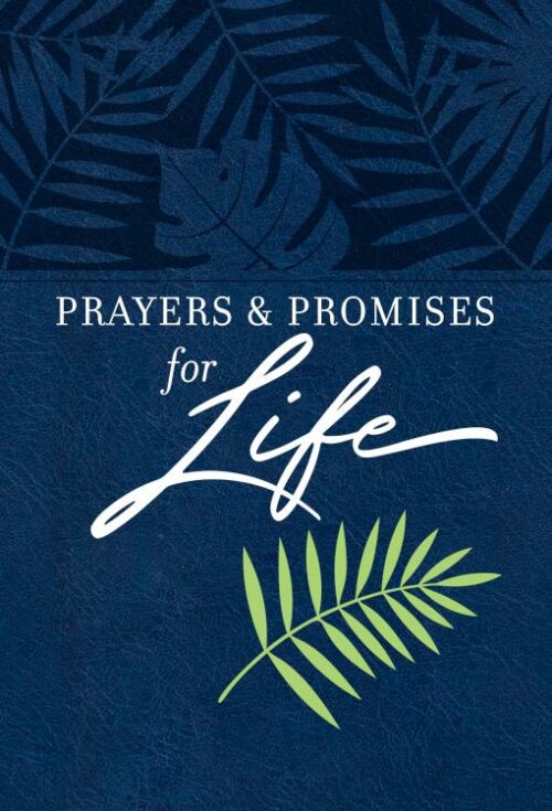 9781424562640 Prayers And Promoses For Life
