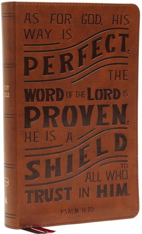 9780785291589 Personal Size Reference Bible Verse Art Cover Collection Comfort Print