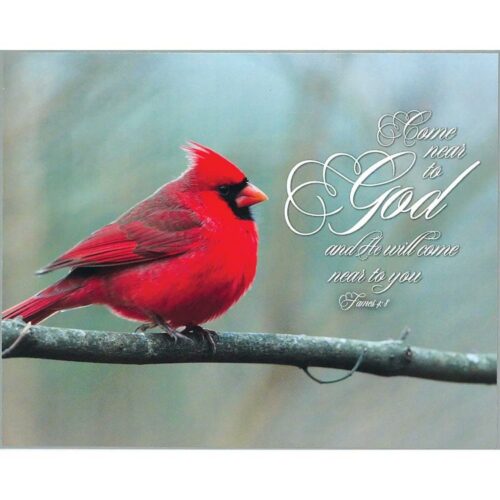 603799229098 Come Near James 4:8 Red Cardinal Plock (Plaque)