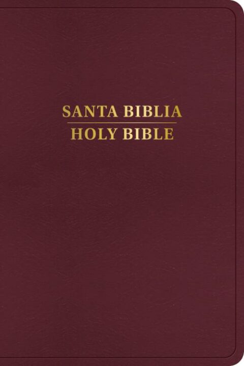 RVR 1960 KJV Bilingual Bible (Parallel Bibles, Spanish Bibles, Red ...