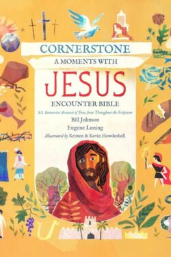 9780768463026 Cornerstone : A Moments With Jesus Encounter Bible - 20 Immersive Accounts