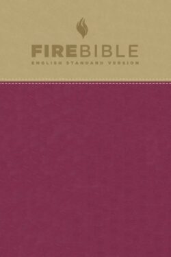 9781619701496 Fire Bible