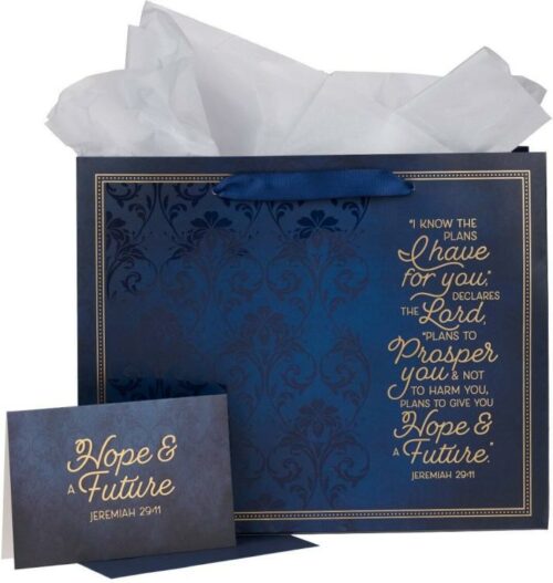 1220000320642 Decorative Landscape Gift Bag w/Card & Tissue Paper Set for Men
