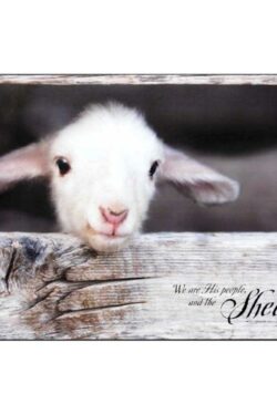603799338936 Lamb We Are His People Plock (Plaque)