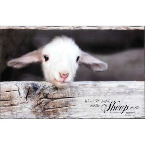 603799338936 Lamb We Are His People Plock (Plaque)