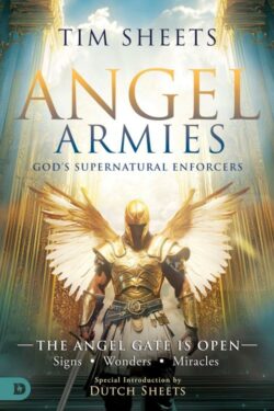 9780768477405 Angel Armies : God's Supernatural Enforcers - The Angel Gate Is Open - Sign