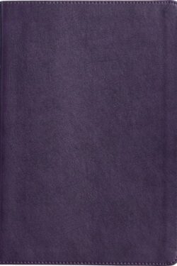 9781087782799 Large Print Thinline Bible
