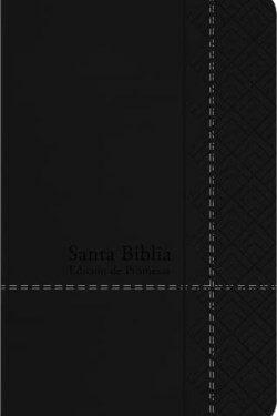 9780789925534 Promise Bible Handy Size Large Print