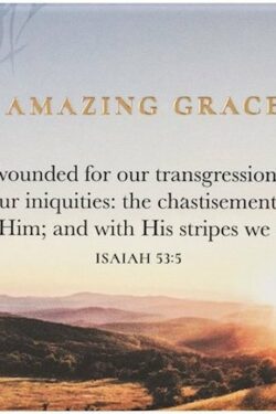 1220000720695 Amazing Grace Magnet Isaiah 53:3