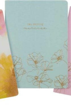 1220000321380 Great Is Thy Faithfulness Notebooks Set Of 3